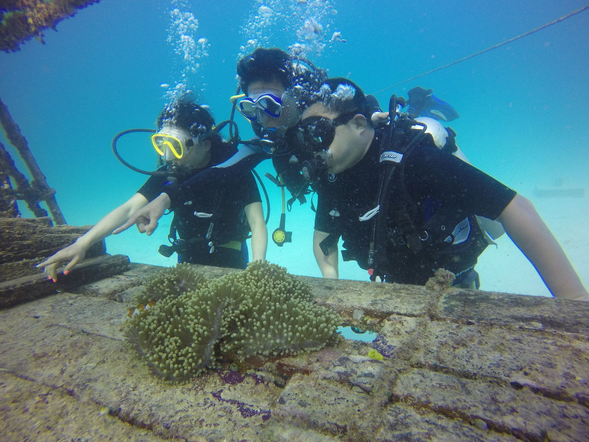 Sipadan Mangrove Resort Tawau Bagian luar foto