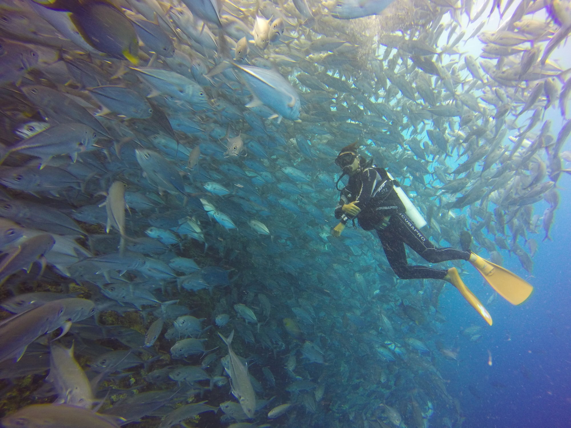 Sipadan Mangrove Resort Tawau Bagian luar foto